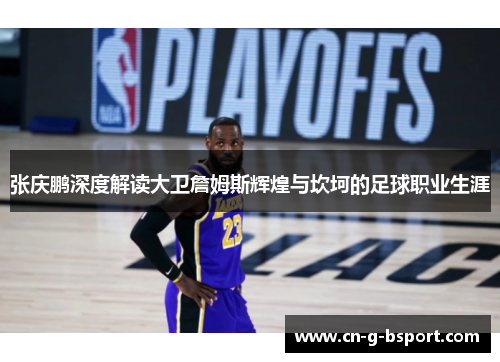 张庆鹏深度解读大卫詹姆斯辉煌与坎坷的足球职业生涯 张庆鹏深度解读大卫詹姆斯辉煌与坎坷的足球职业生涯