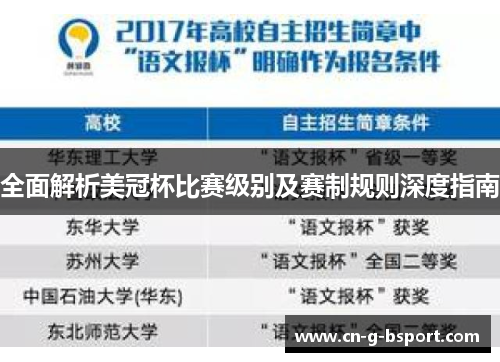 全面解析美冠杯比赛级别及赛制规则深度指南 全面解析美冠杯比赛级别及赛制规则深度指南