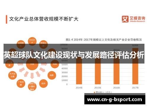 英超球队文化建设现状与发展路径评估分析
