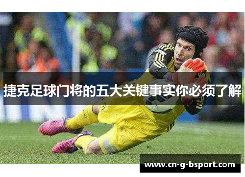 捷克足球门将的五大关键事实你必须了解