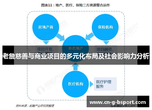 老詹慈善与商业项目的多元化布局及社会影响力分析 老詹慈善与商业项目的多元化布局及社会影响力分析